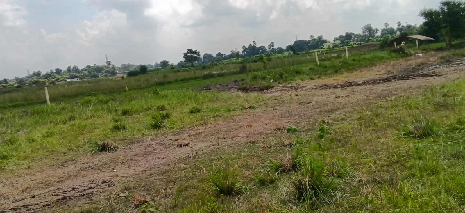 🏡 MIT के पीछे 3 बीघा PLOT बिक्री के लिए PN 175 - Image 10