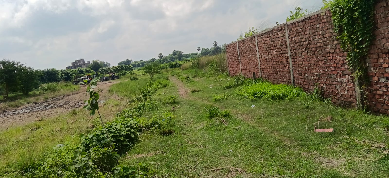 🏡 MIT के पीछे 3 बीघा PLOT बिक्री के लिए PN 175 - Image 6