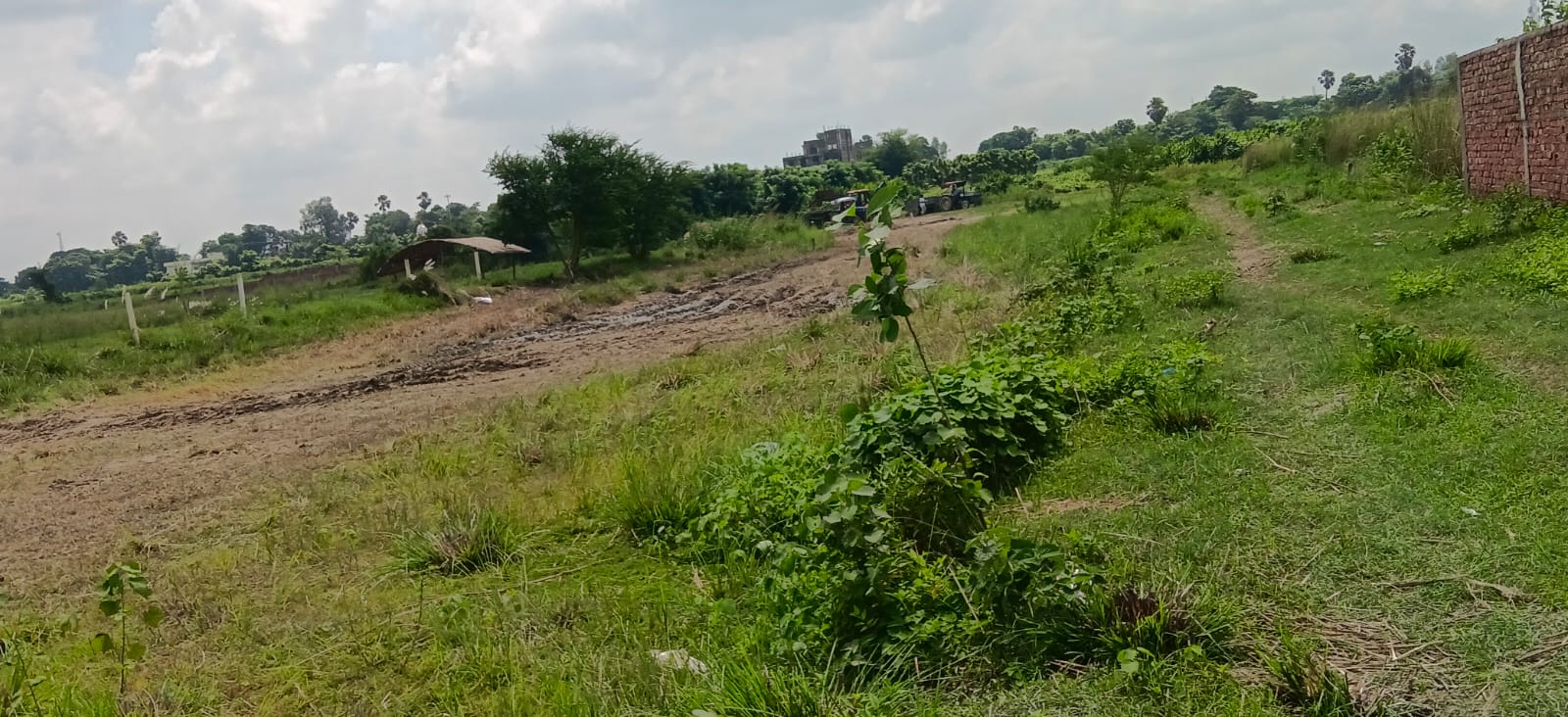 🏡 MIT के पीछे 3 बीघा PLOT बिक्री के लिए PN 175 - Image 5