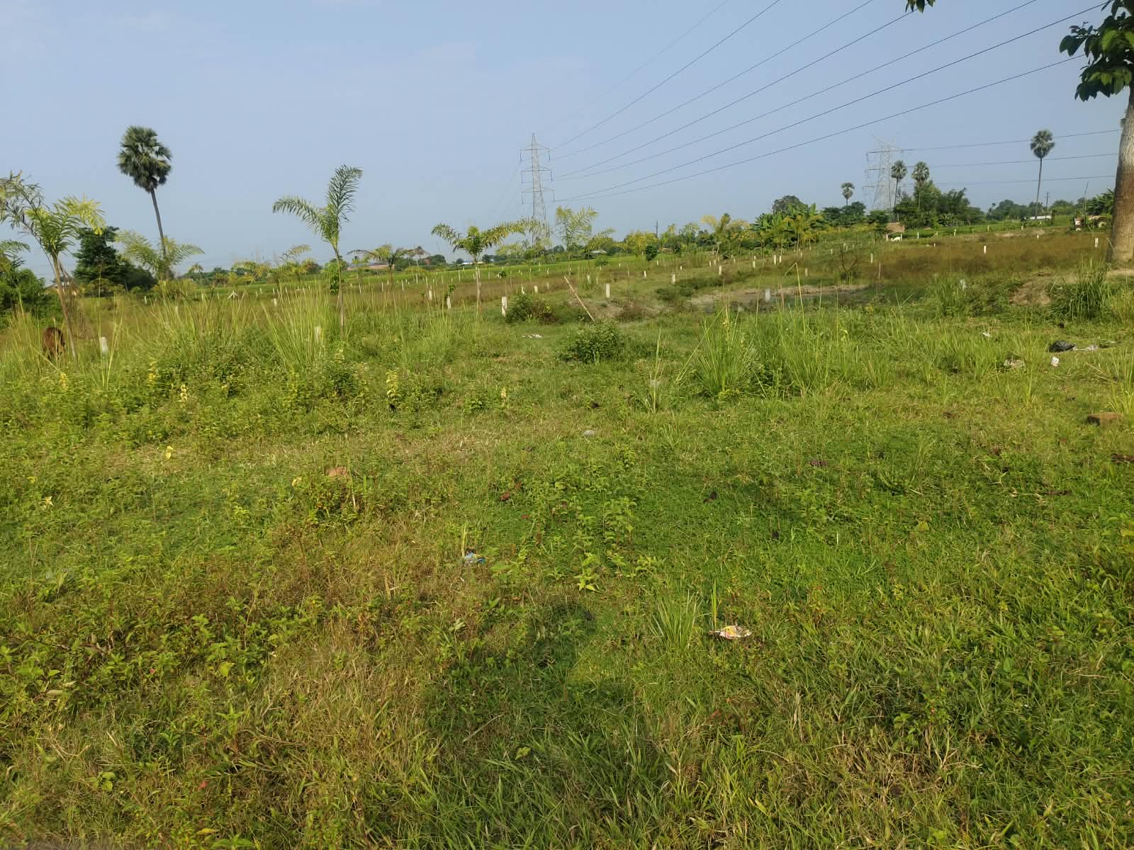 🏡 गुलाबबाग गुंडा चौक के पास आवासीय PLOT बिक्री के लिए PN 192 - Image 12