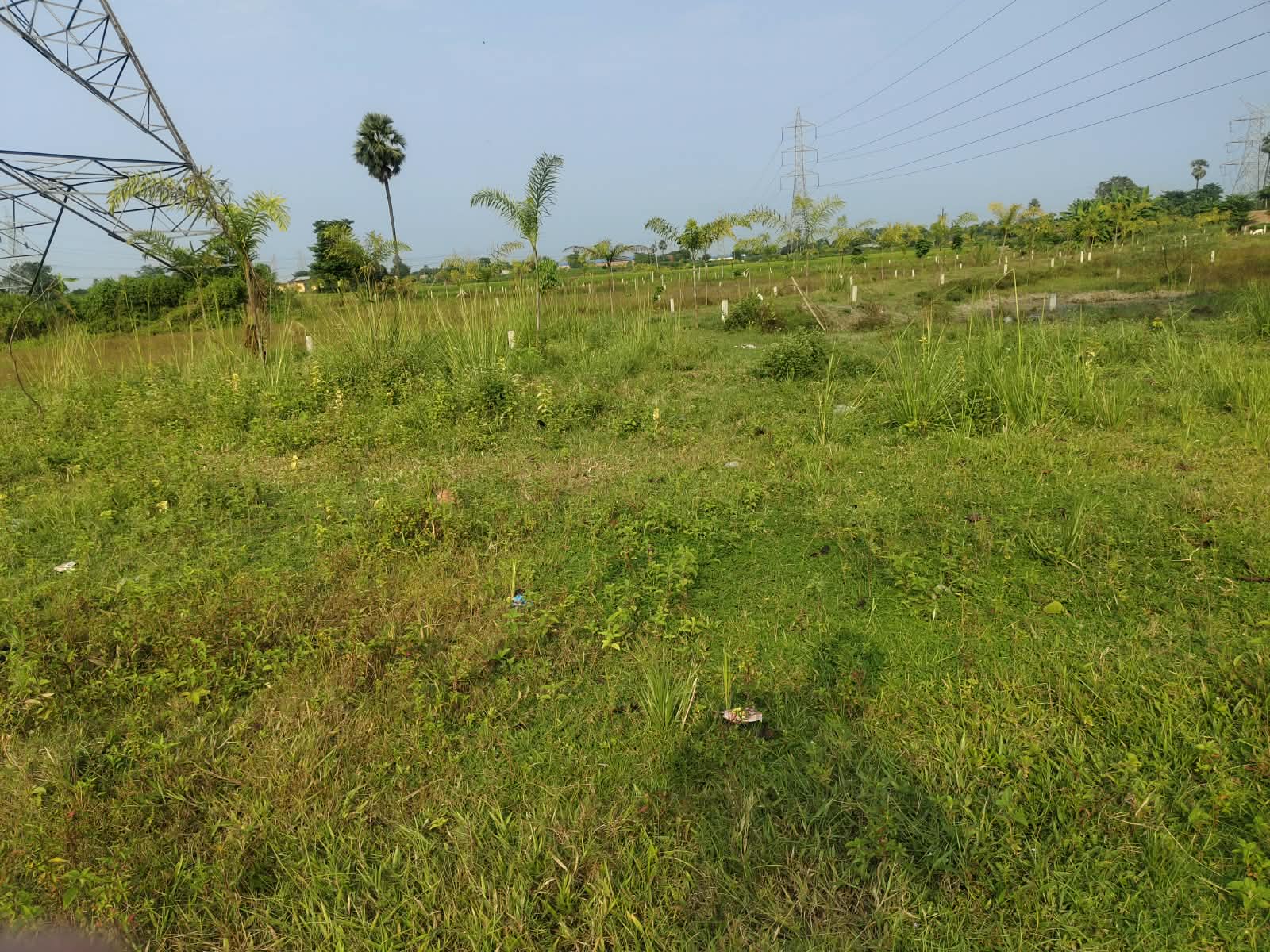 🏡 गुलाबबाग गुंडा चौक के पास आवासीय PLOT बिक्री के लिए PN 192 - Image 13