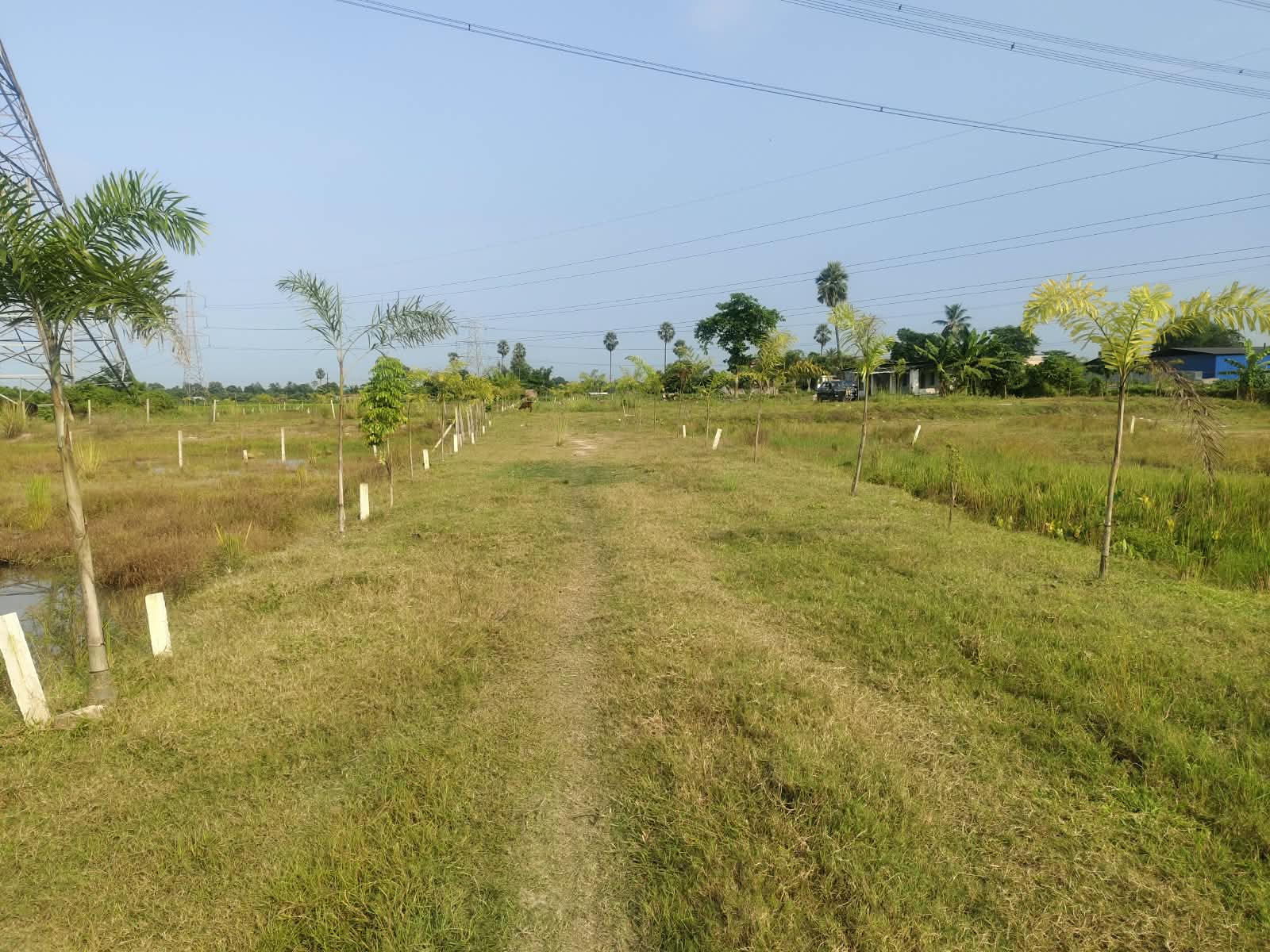 🏡 गुलाबबाग गुंडा चौक के पास आवासीय PLOT बिक्री के लिए PN 192 - Image 10