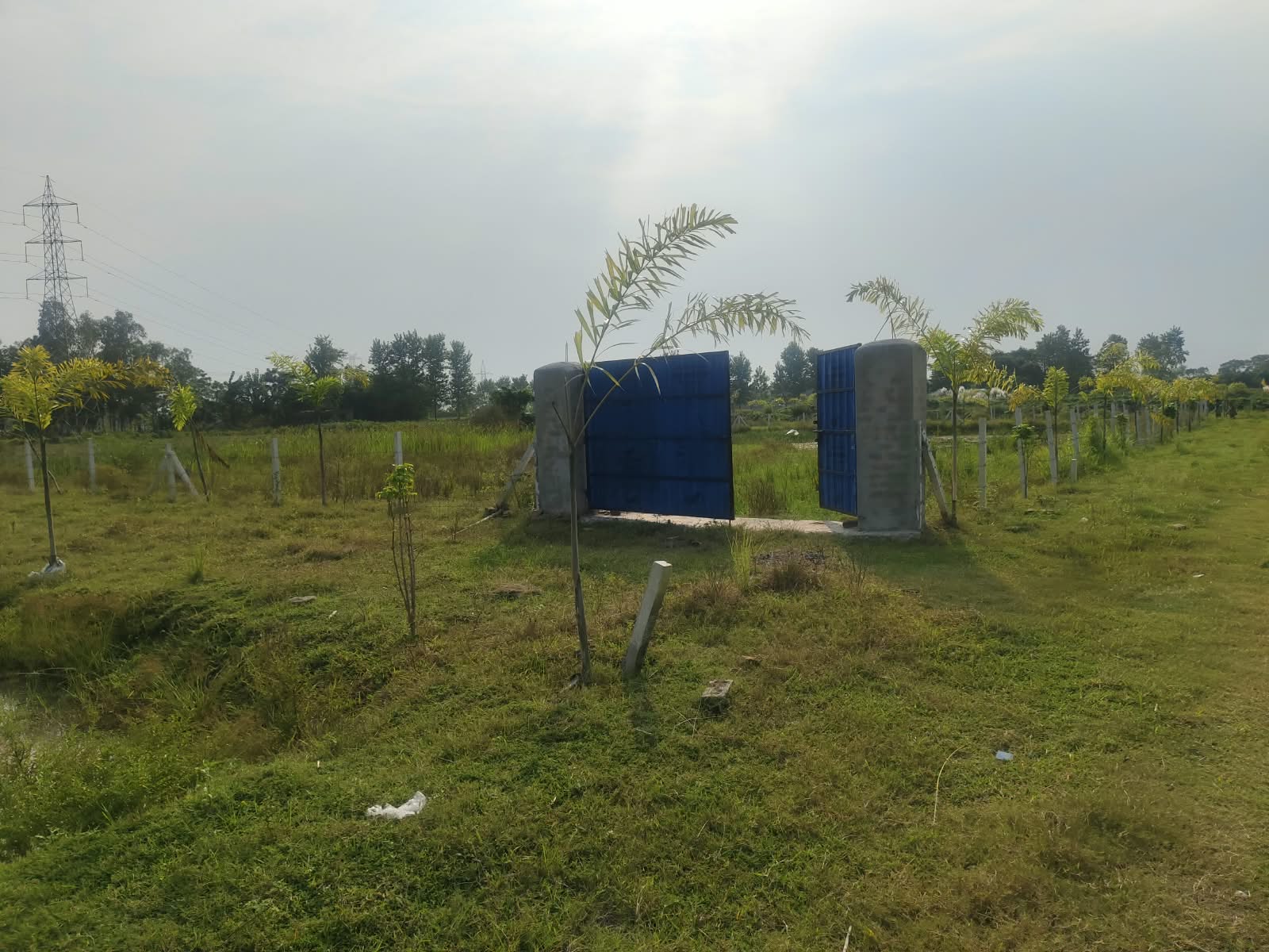 🏡 गुलाबबाग गुंडा चौक के पास आवासीय PLOT बिक्री के लिए PN 192 - Image 11