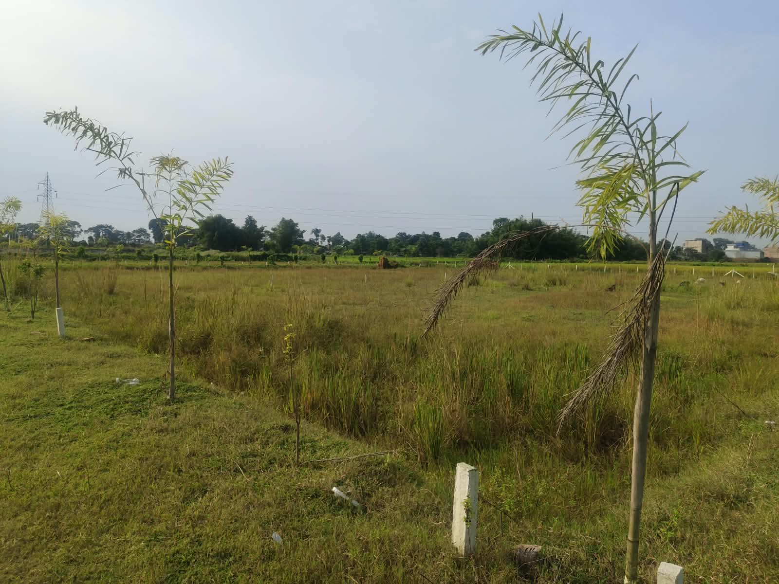 🏡 गुलाबबाग गुंडा चौक के पास आवासीय PLOT बिक्री के लिए PN 192 - Image 9