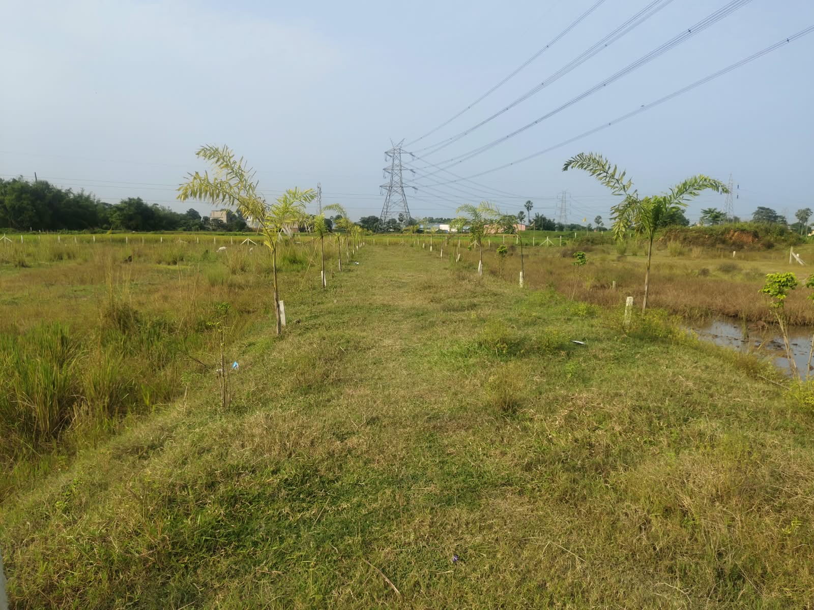 🏡 गुलाबबाग गुंडा चौक के पास आवासीय PLOT बिक्री के लिए PN 192 - Image 8