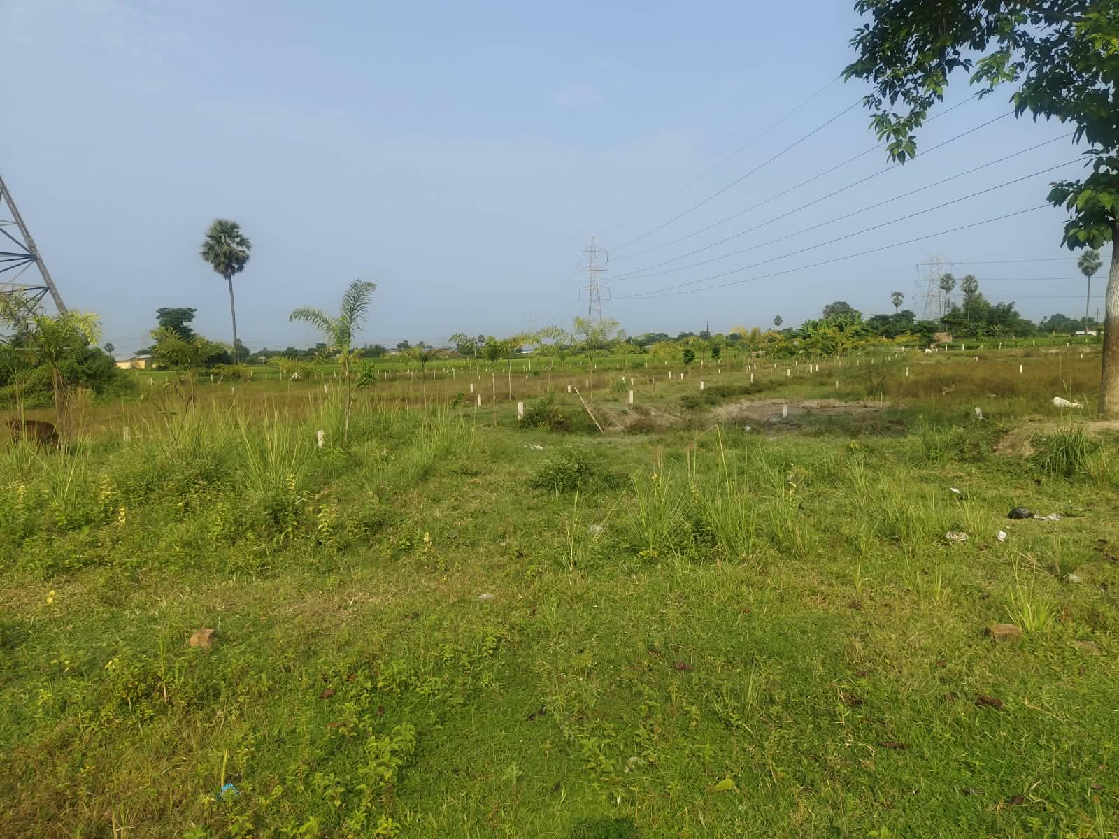 🏡 गुलाबबाग गुंडा चौक के पास आवासीय PLOT बिक्री के लिए PN 192 - Image 7