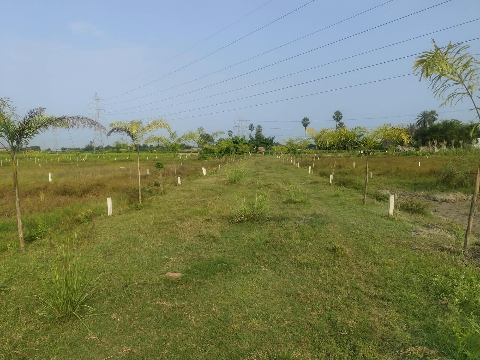 🏡 गुलाबबाग गुंडा चौक के पास आवासीय PLOT बिक्री के लिए PN 192 - Image 6
