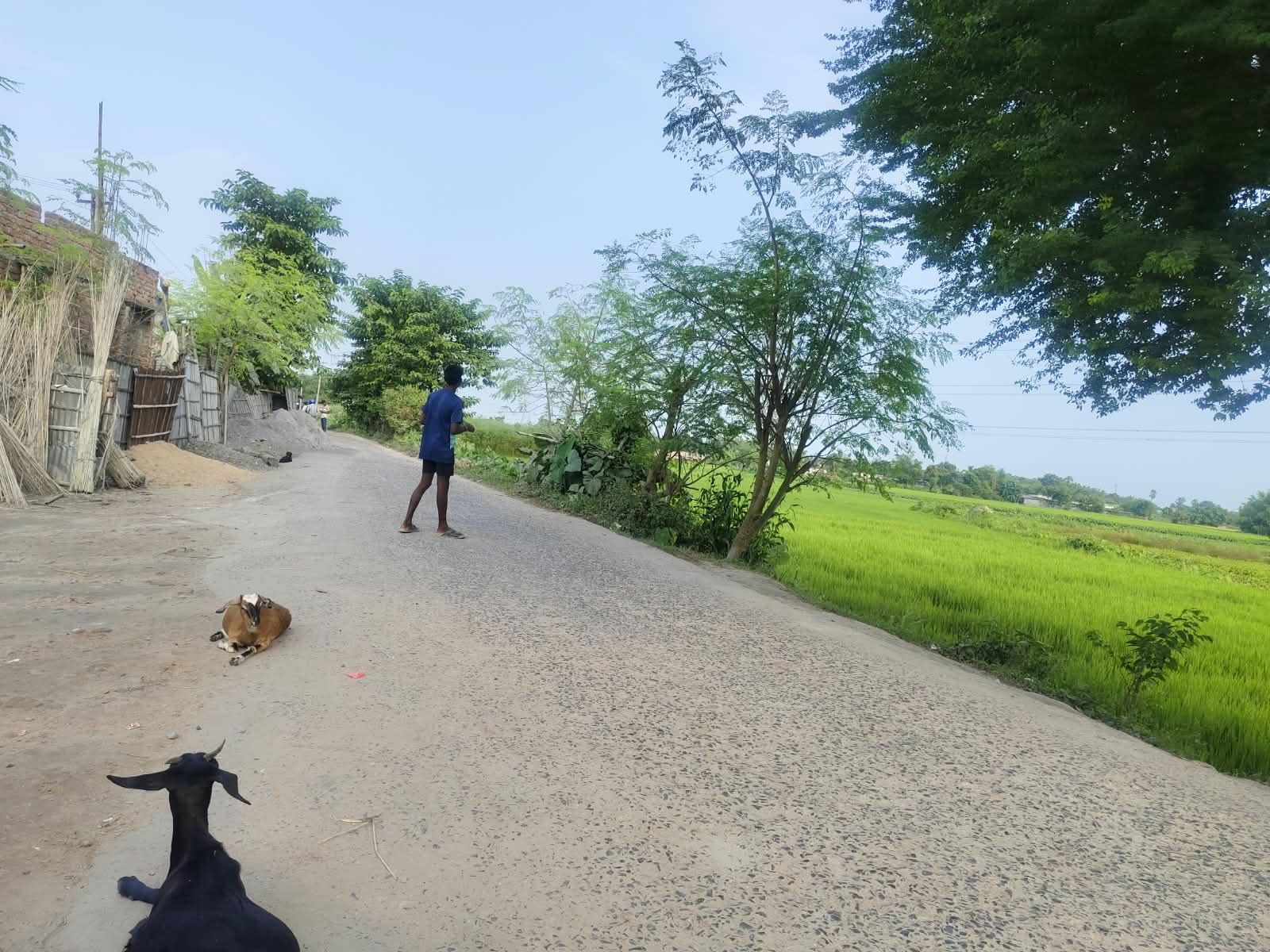🏡 गुलाबबाग गुंडा चौक के पास आवासीय PLOT बिक्री के लिए PN 192 - Image 4