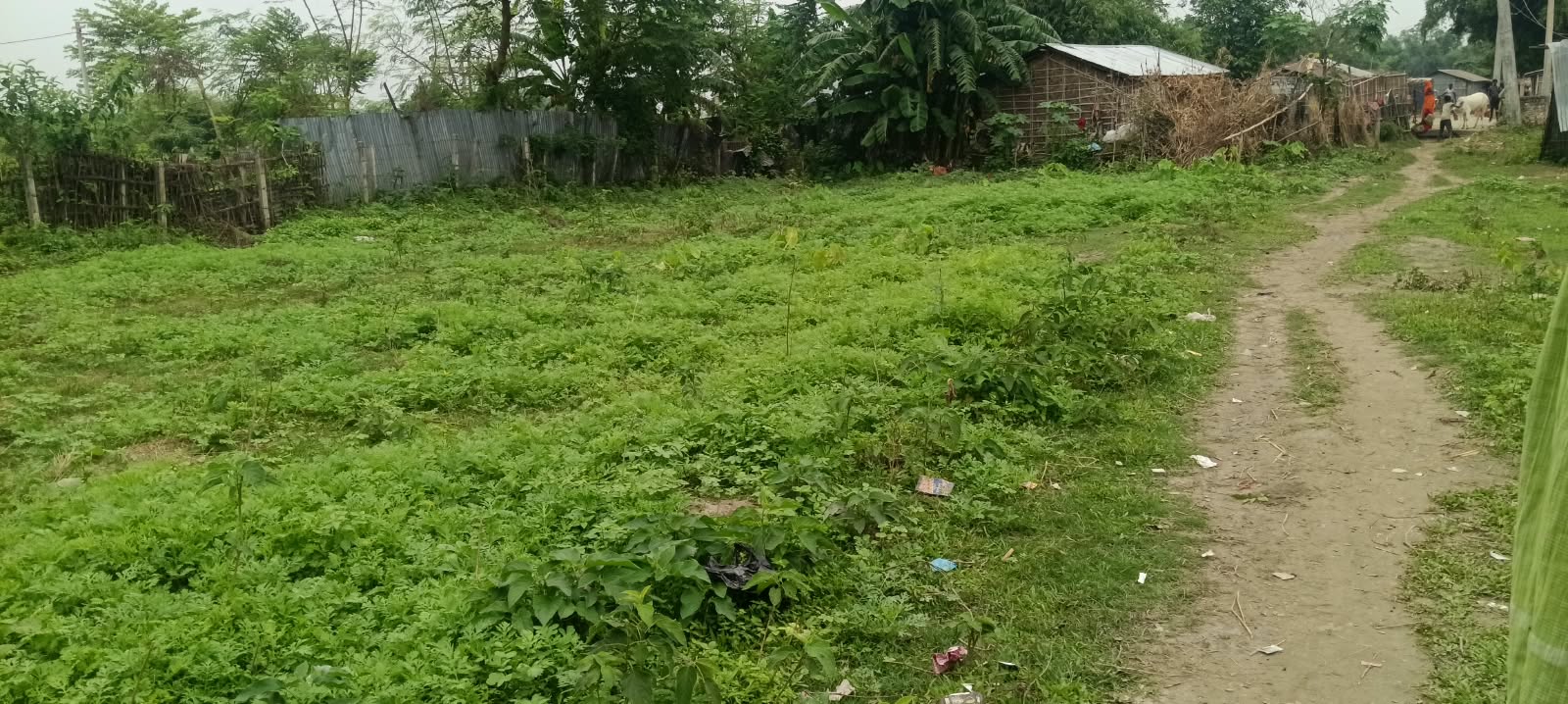 🏡 बक्शाघाट–मरंगा रोड पर 3 कट्ठा जमीन बिक्री के लिए PN 199 - Image 4